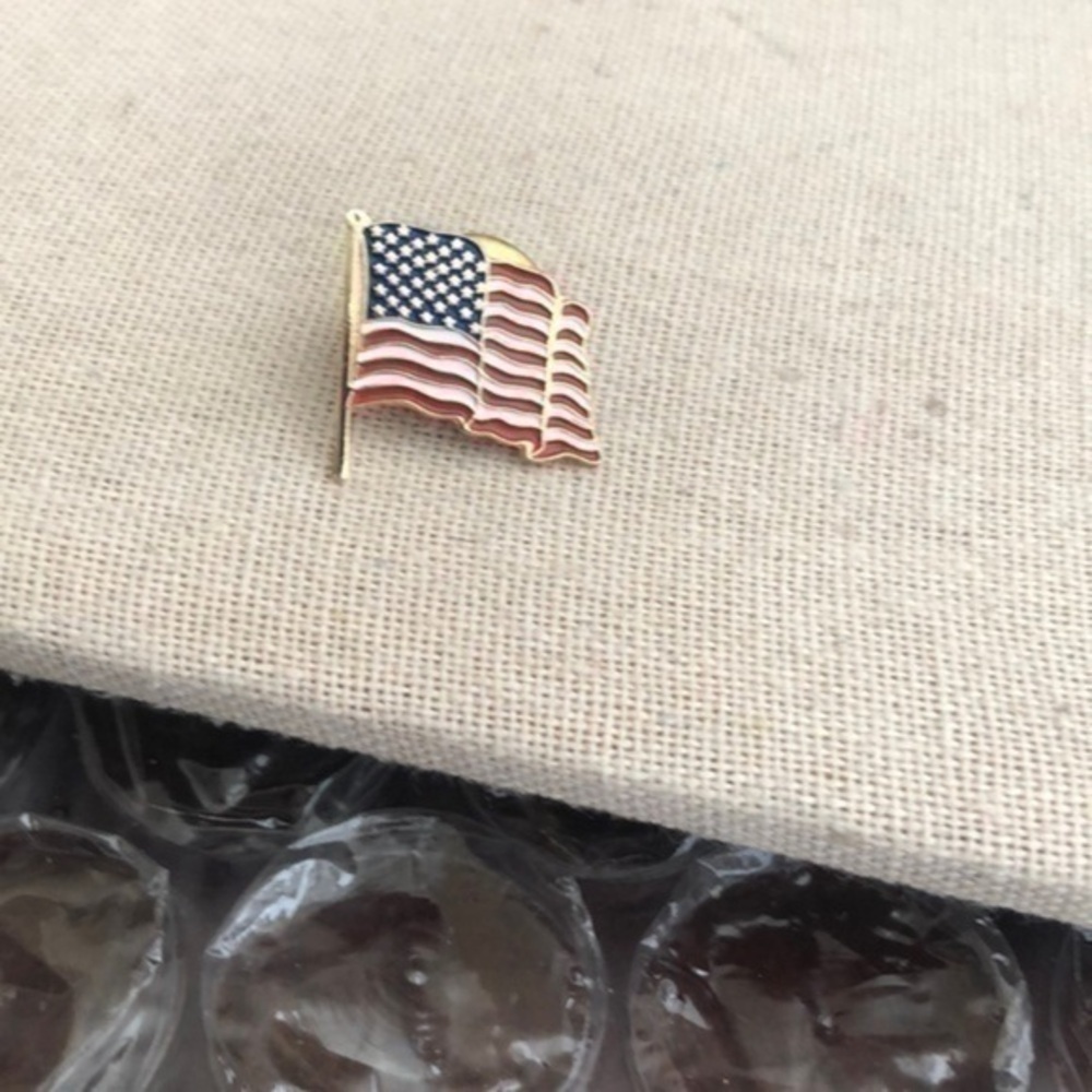 Vintage USA Pin